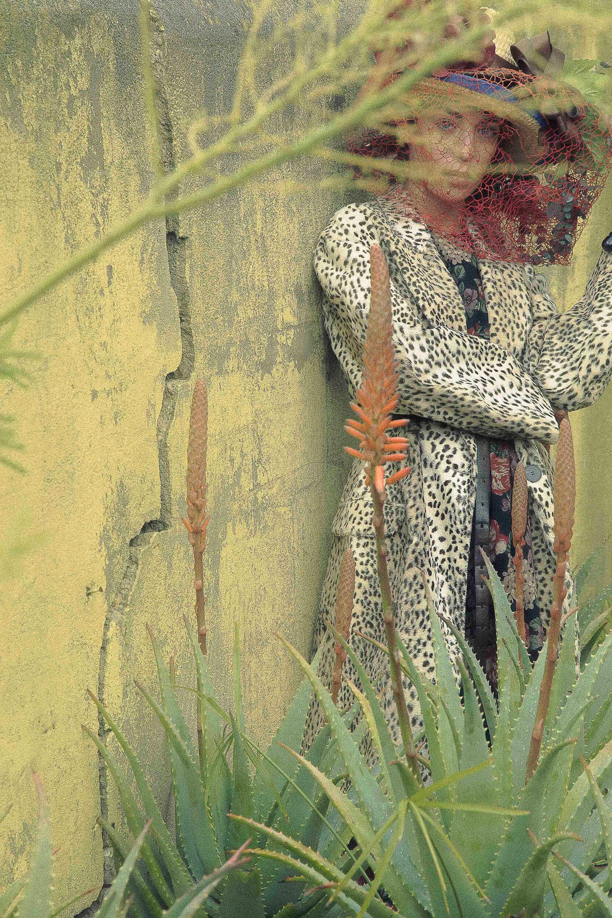 Pre-Fall 2021