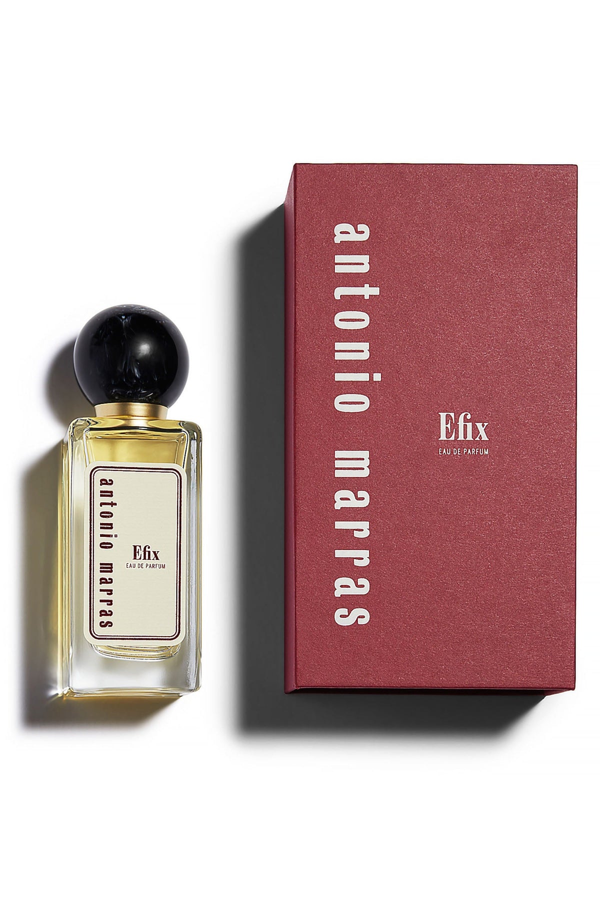 Efix