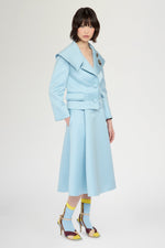 Pleated Midi Skirt with Central Panel