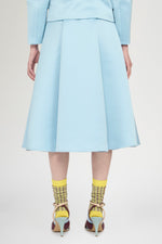 Pleated Midi Skirt with Central Panel