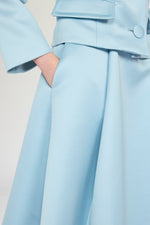 Pleated Midi Skirt with Central Panel